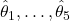 \hat{\theta}_1, \dots, \hat{\theta}_5